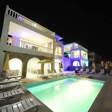 Grand View فيلة